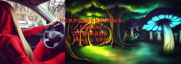 ГАЛЛЮЦИНОГЕННЫЕ ГРИБЫ Алексеевка