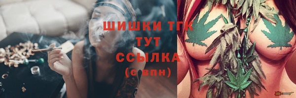 гидропоника Алзамай
