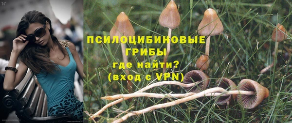 ГАЛЛЮЦИНОГЕННЫЕ ГРИБЫ Алексеевка