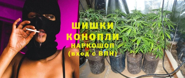 ГАЛЛЮЦИНОГЕННЫЕ ГРИБЫ Алексеевка