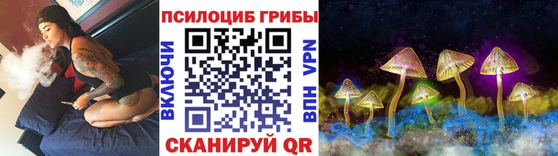 Псилоцибиновые грибы Psilocybe цены наркотик Гуково